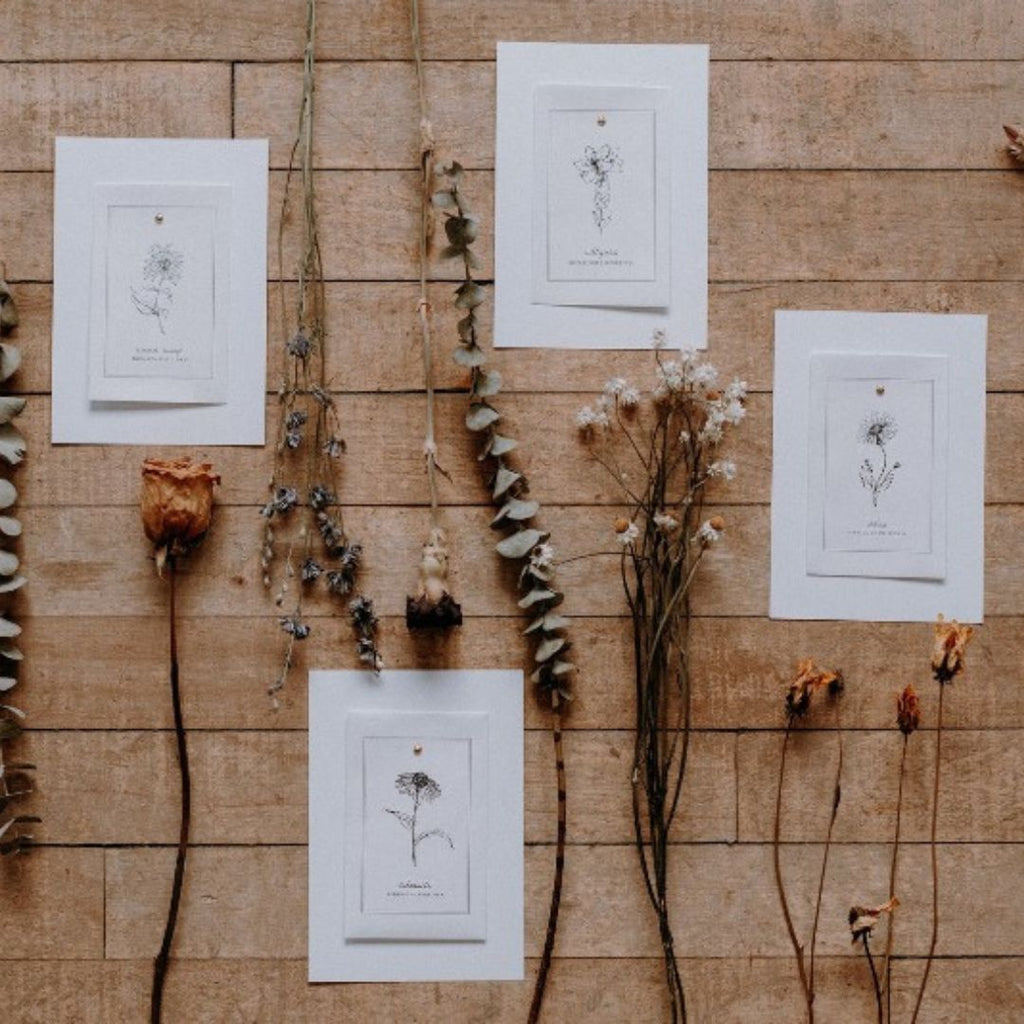 Une trousse de semences Les Mauvaises Herbes contenant plusieurs sachets en papier kraft avec des étiquettes manuscrites indiquant le nom de la plante et son utilisation médicinale. La trousse est posée sur une table en bois rustique.